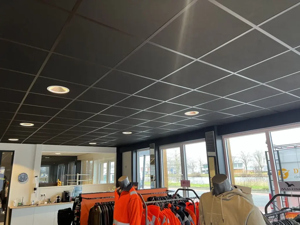 Elektra voor bedrijf Hengelo​